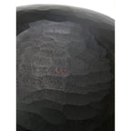 三谷龍二 黒漆 山桜 大皿 Noir bowl ノワール ボウル 黒 ブラック【中古】