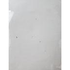 Astier de Villatte アスティエ・ド・ヴィラット Simple プレート 24cm  白【中古】