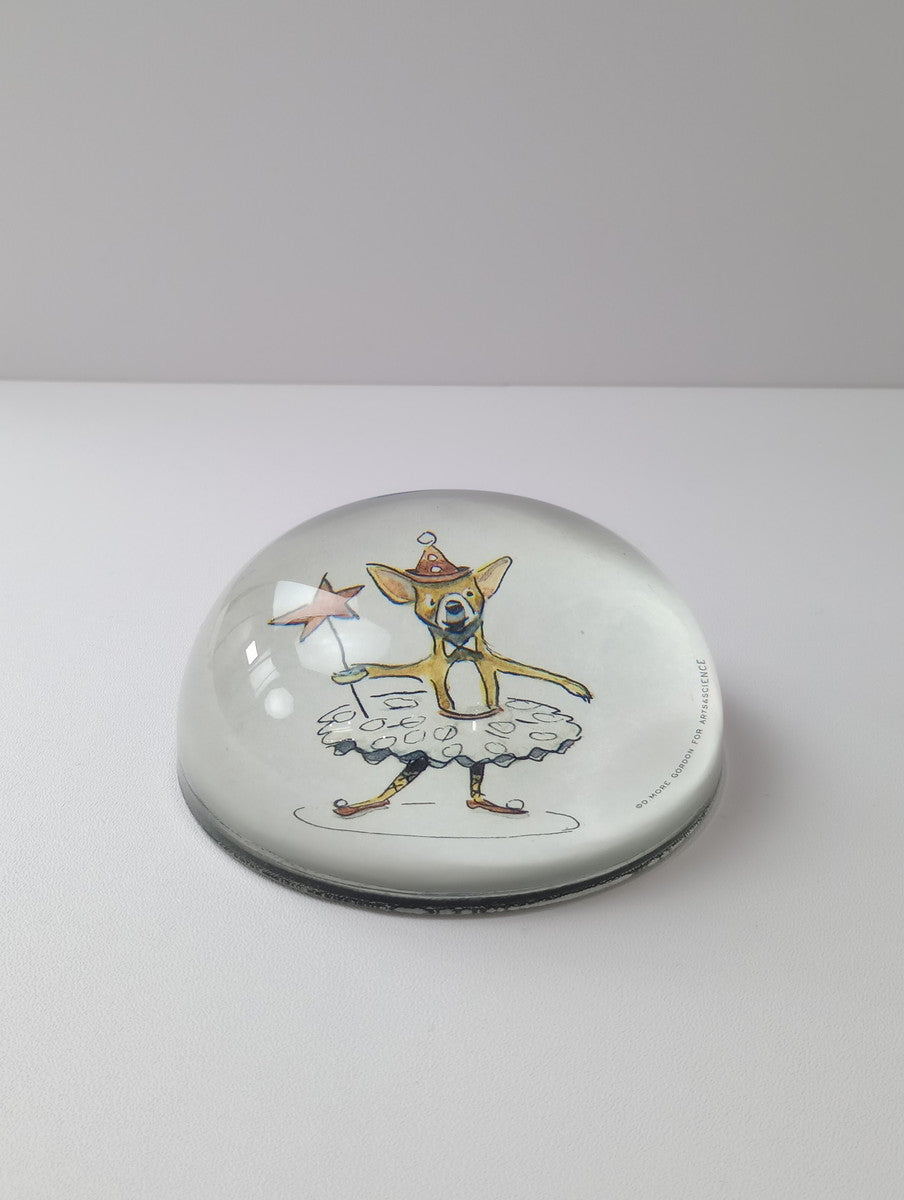 Domenica More Gordon × J.D.for A&S ARTS&SCIENCE アーツアンドサイエンス Paper weight A(Sepia) 別注 ペーパーウェイト ガラス  【中古】